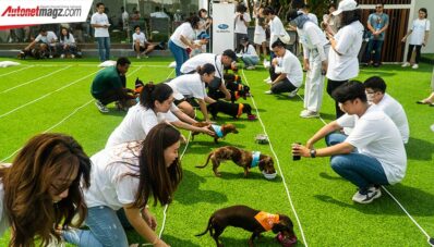Subaru Loves Pets Vol. 1, Akhir Pekan Bersama Komunitas Pecinta Anjing Dachshund
