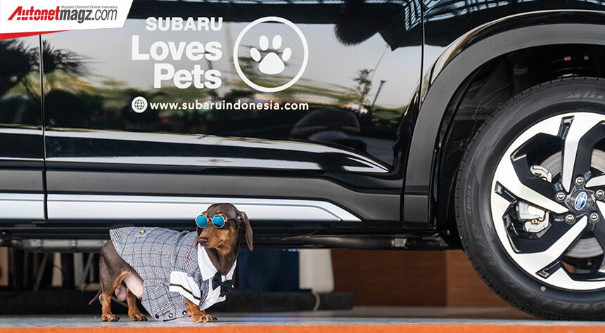 Subaru Loves Pets Vol. 1, Akhir Pekan Bersama Komunitas Pecinta Anjing Dachshund Subaru Loves Pets Vol. 1, Akhir Pekan Bersama Komunitas Pecinta Anjing Dachshund