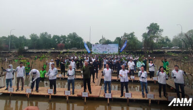 Hijaukan Lingkungan, Yamaha Tanam Ribuan Mangrove di Pantai Indah Kapuk Hijaukan Lingkungan, Yamaha Tanam Ribuan Mangrove di Pantai Indah Kapuk