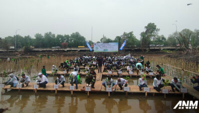Hijaukan Lingkungan, Yamaha Tanam Ribuan Mangrove di Pantai Indah Kapuk Hijaukan Lingkungan, Yamaha Tanam Ribuan Mangrove di Pantai Indah Kapuk