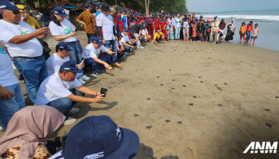 Daihatsu Lanjutkan Komitmen CSR Lewat Penyu Untuk Indonesia di Padang Daihatsu Lanjutkan Komitmen CSR Lewat Penyu Untuk Indonesia di Padang