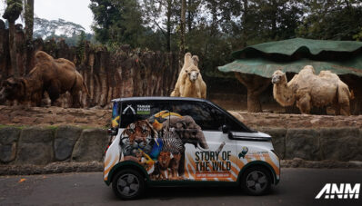 Taman Safari Adakan International Animal Photo & Video Competition, Berhadiah Wuling Air EV!