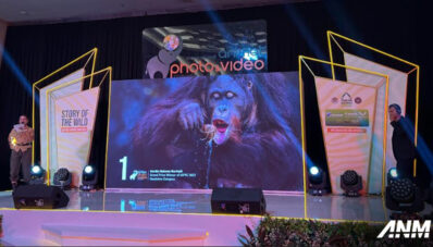 Inilah Pemenang Wuling Air EV dari International Animal Photo and Video Competition (IAPVC) Inilah Pemenang Wuling Air EV dari International Animal Photo and Video Competition (IAPVC)