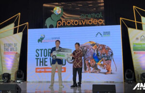 Inilah Pemenang Wuling Air EV dari International Animal Photo and Video Competition (IAPVC) Inilah Pemenang Wuling Air EV dari International Animal Photo and Video Competition (IAPVC)