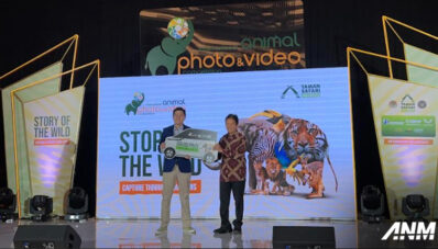Inilah Pemenang Wuling Air EV dari International Animal Photo and Video Competition (IAPVC) Inilah Pemenang Wuling Air EV dari International Animal Photo and Video Competition (IAPVC)