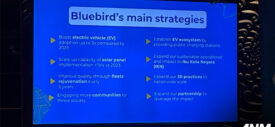 bluebird-vision-2