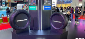 bridgestone-iims