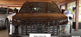 palisade-xrt-3