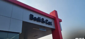 Body & Cat Auto2000