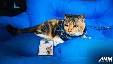 Subaru Turut Ambil Bagian dalam Indonesia International Pet Expo Subaru Turut Ambil Bagian dalam Indonesia International Pet Expo