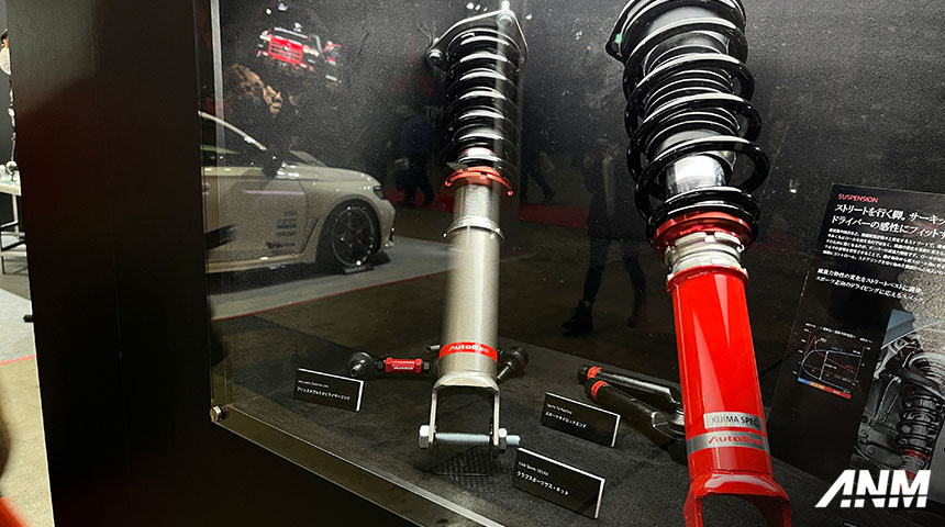 , AutoExe suspension: AutoExe suspension