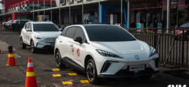 mg-pevs-2