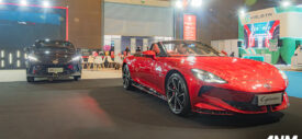 mg-pevs-2